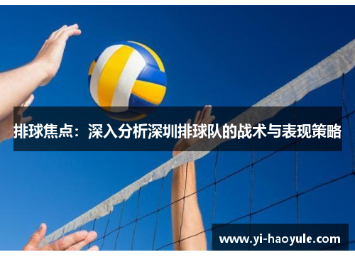 排球焦点：深入分析深圳排球队的战术与表现策略