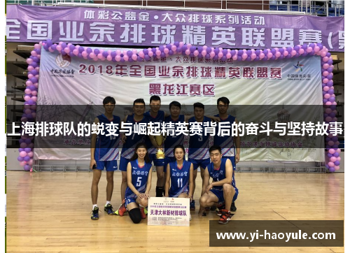 上海排球队的蜕变与崛起精英赛背后的奋斗与坚持故事